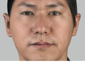 Evolution Soccer 2014 Engine console nuova generazione