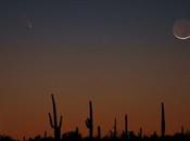 STARRS apparizione cielo boreale