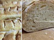 Pane semola rimacinata manitoba lievito madre: ricetta facile