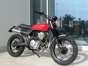 Scrambler "Freak" Sauro Rosolani