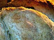 Aussie olive damper bread (pane all'olio olive)