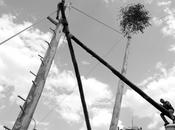 riti arborei: workshop cura Photography maggio Accettura