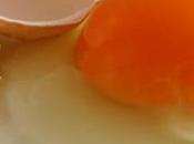 Allergia all’uovo alimenti evitare