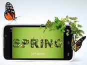 rete Stonex mania!!!