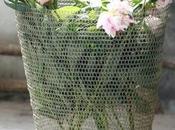 Aria primavera fiori foglie