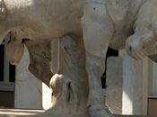Toro nella storia Mediterraneo