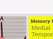 Google lancia Keep [video]