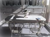 Amici avevate lasciato Mondo Gustaviano ecco...