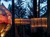 Yellow Treehouse