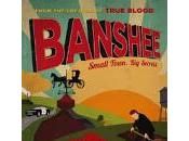 Mazzate televisive: Banshee stagione (2013)
