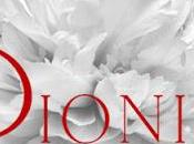 Sponsored Post: Dionisia Events...