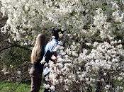 magnolia versi sanno primavera