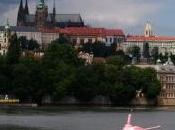 Praga pesci tropicali Havel, ricerca valori aggrapparsi