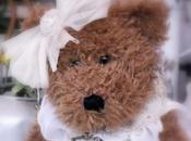 shabbychic,che gioia vestire miei Teddy!