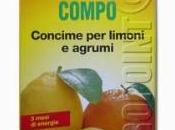 concimazione limoni