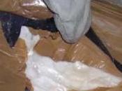 Roma Sequestrato carico hashish