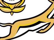 Springboks convocati preparare Test giugno