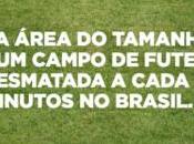 Brasile deforesta campo ogni minuti”