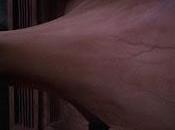 Videodrome