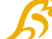 L'Australia prepara tour Lions