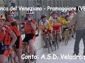 Progetto Diamo Vita alla Pista Portogruaro