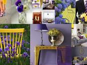 Colors inspiration: yellow purple