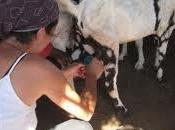 Potere all'immaginazione