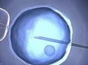 Quando cicogna arriva.