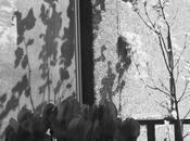 L’ombra della luce