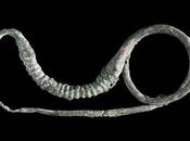 Sorprese preistoriche nella piana reatina