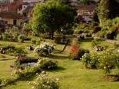 Giardino delle Rose Iris) Firenze