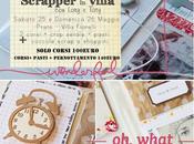 Scrapper villa!