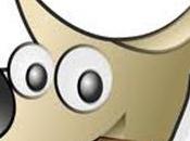 Come diventare mago GIMP: estrarre preparare immagini Internet.