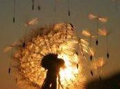 verità posted Anna rosa