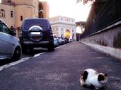 Sosta animale. entra parcheggio mette sbieco ruota marciapiede. vigili passano, guardano ignorano. roma puo'.