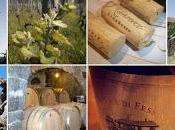 Musmeci 2008 Tenuta Fessina vini intriganti vulcano”. L’articolo Luigi Salvo sull’edizione 2013 della manifestazione contrade dell’Etna”