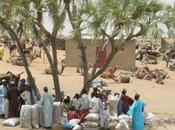 Diffa (Niger) /Scontri cinesi (Cnpc) nigerini mancate assunzioni