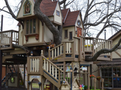 casa sull’albero tutti vorrebbero avere