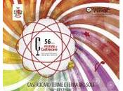 Manfredonia: Audizioni CASTROCARO BABY VOICE 2013