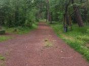 moto sempre tasche vuote.