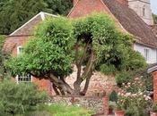 bellissimo cottage Suffolk