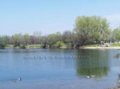 foto della settimana: verde Milano Parco delle Cave