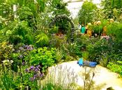 Chelsea Flower Show 2013