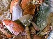 Sostanze chimiche conservazione pesce fresco allarme “cafados”