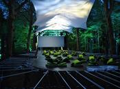 Proiezione speciale bosco Epic