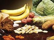 storia fumante. Estratto '100 piatti unici vegetariani'