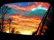 Rear view mirror, 2010