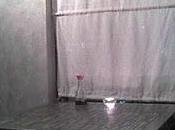 Ristorante Giapponese Haiku Stalingrado Bologna