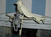 shabbychic,un cuore Sissi