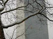 York (Usa) /Sede Forum Popoli indigeni